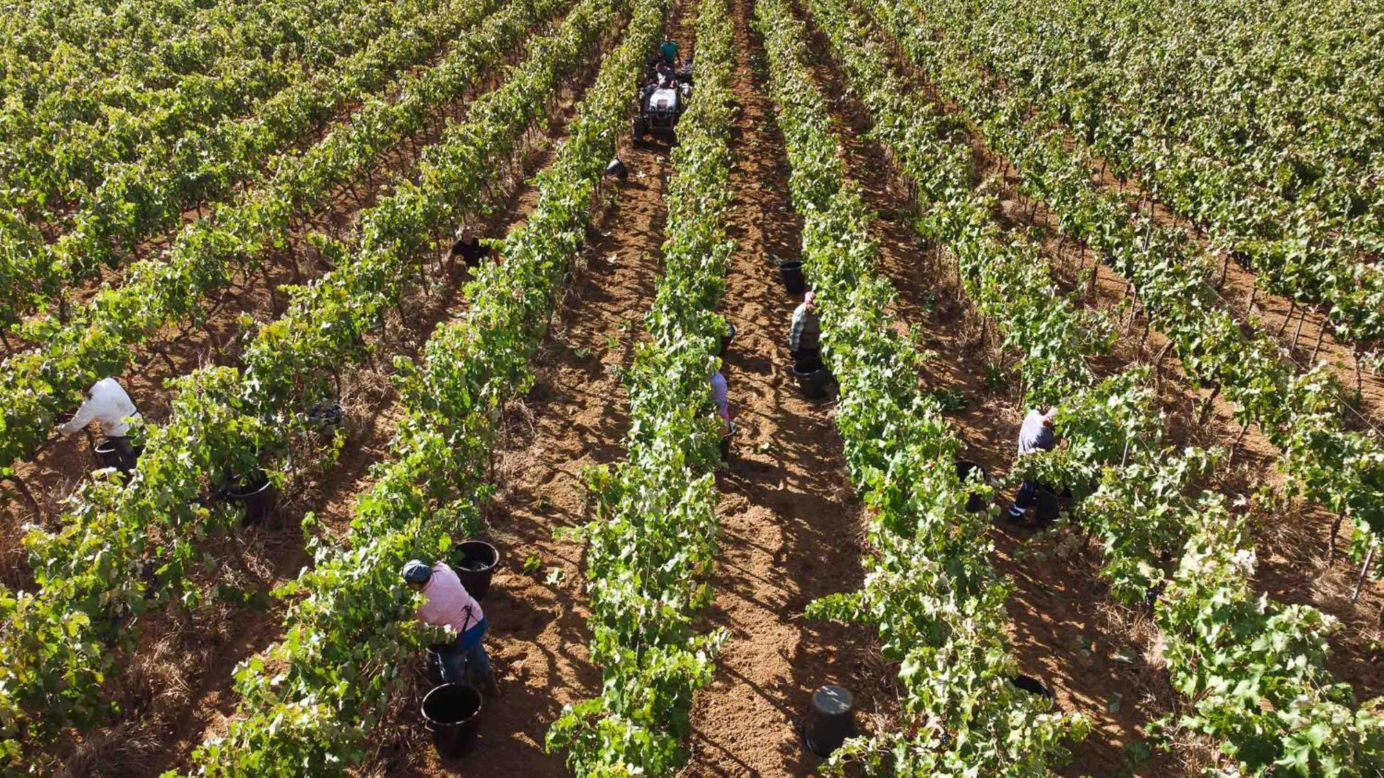 Tenuta Doxi Gallipoli Luaran gambar
