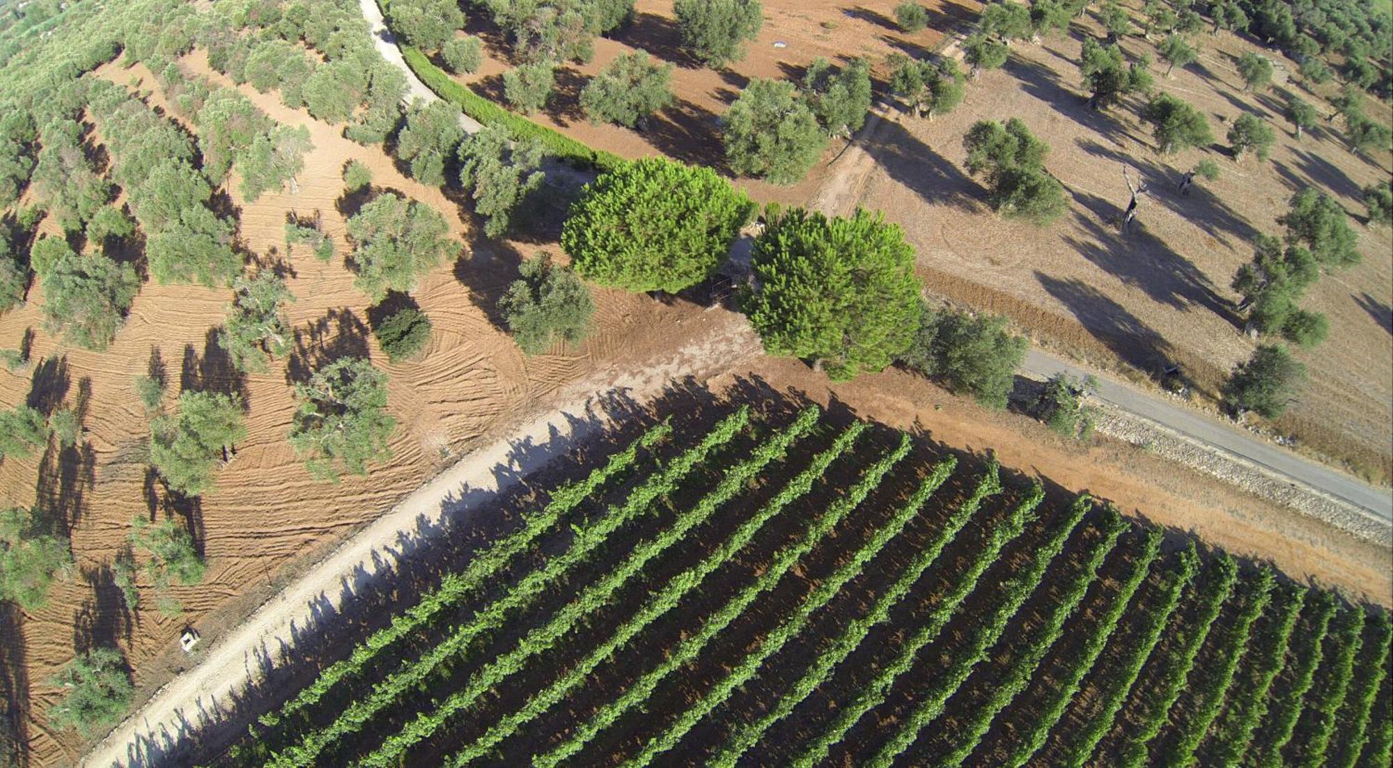 Tenuta Doxi Gallipoli Luaran gambar