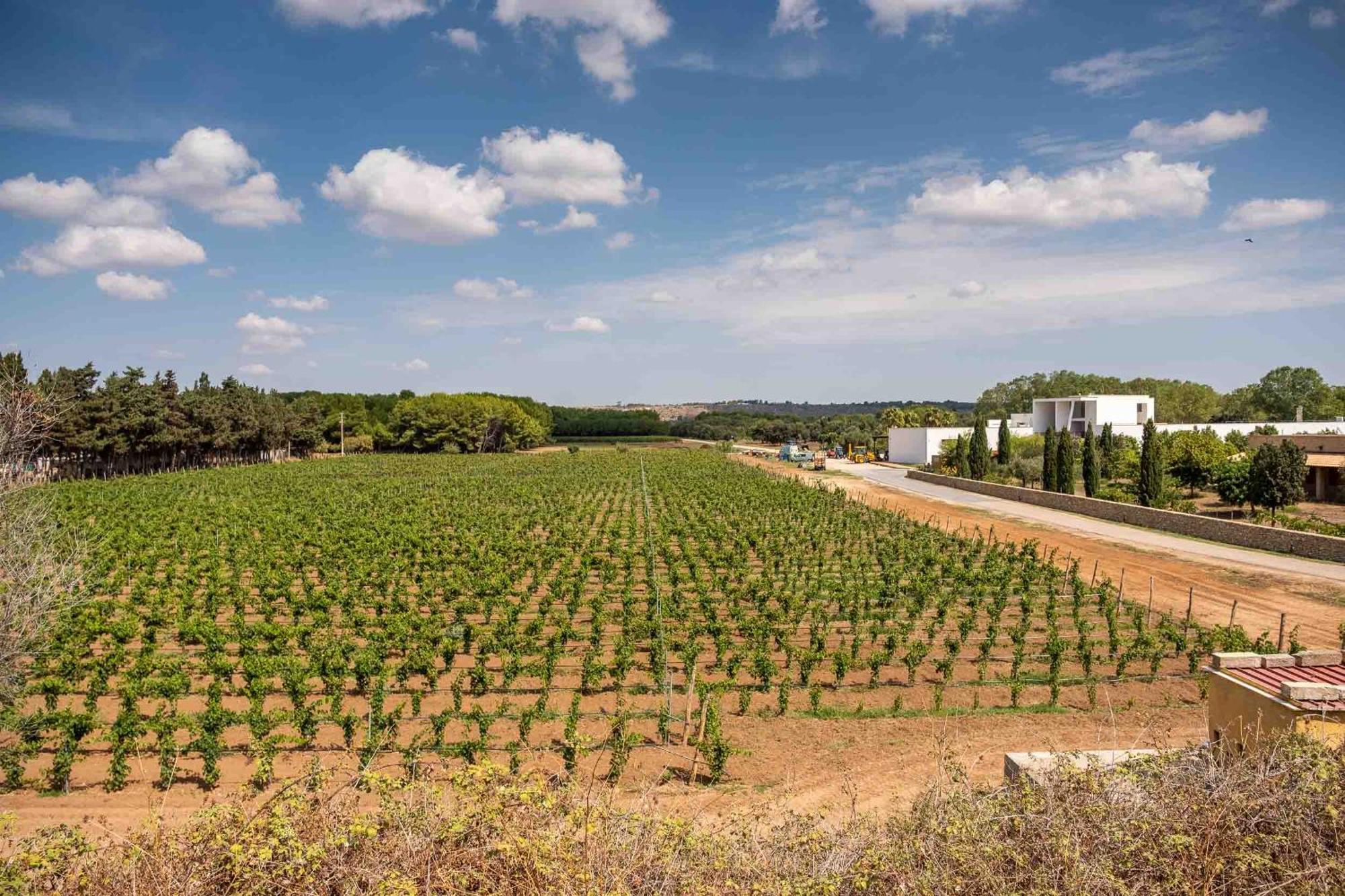 Tenuta Doxi Gallipoli Luaran gambar